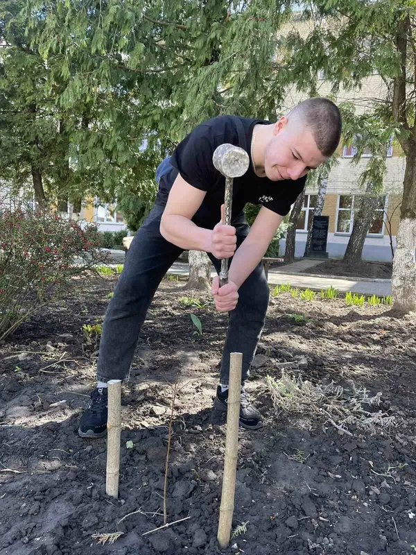 Найкращий момент посадити дерево саме сьогодні