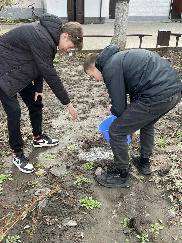 Найкращий момент посадити дерево саме сьогодні