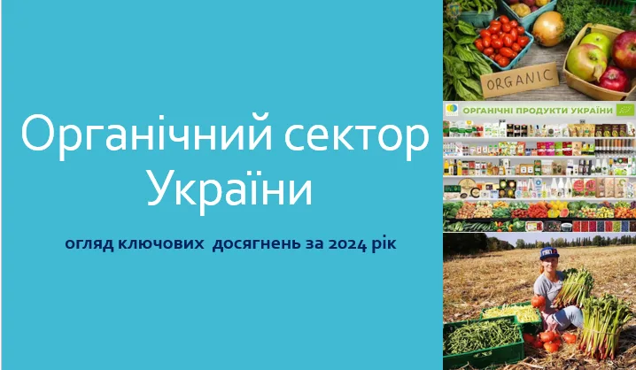 Органічний сектор України огляд ключових досягнень за 2024