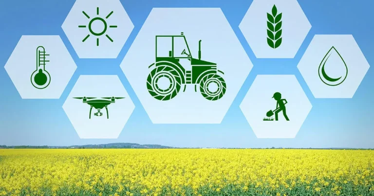 Зміни в аграрному секторі з 1 січня 2025 року